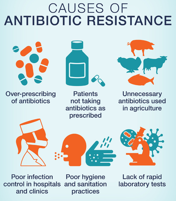 Antibiotic Resistance An End To Modern Medicine Peacock Plume